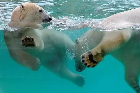 Marineland Hotel 3*